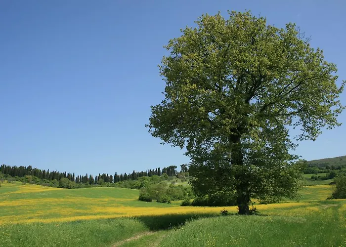 カントリーハウス Florence Country *